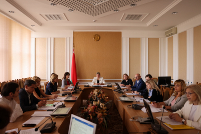 Рабочее совещание по корректировке Закона Республики Беларусь «Об основах административных процедур»